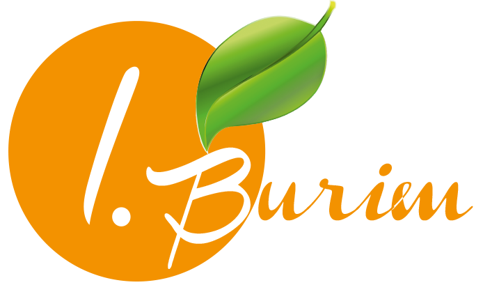 Ihr Experte Fur Garten Und Landschaftsbau Burim Galabau